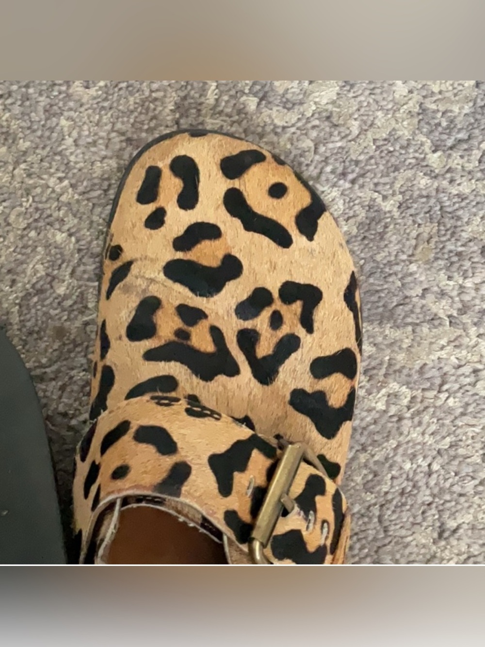 Free People Leopard Print Slingback Mules in Tan and Black - Picture 10 of 11